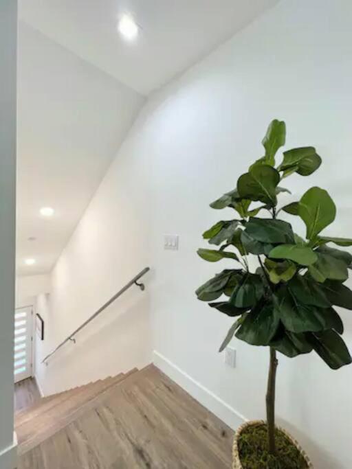 4Br Townhouse In Koreatown Los Angeles Exteriör bild